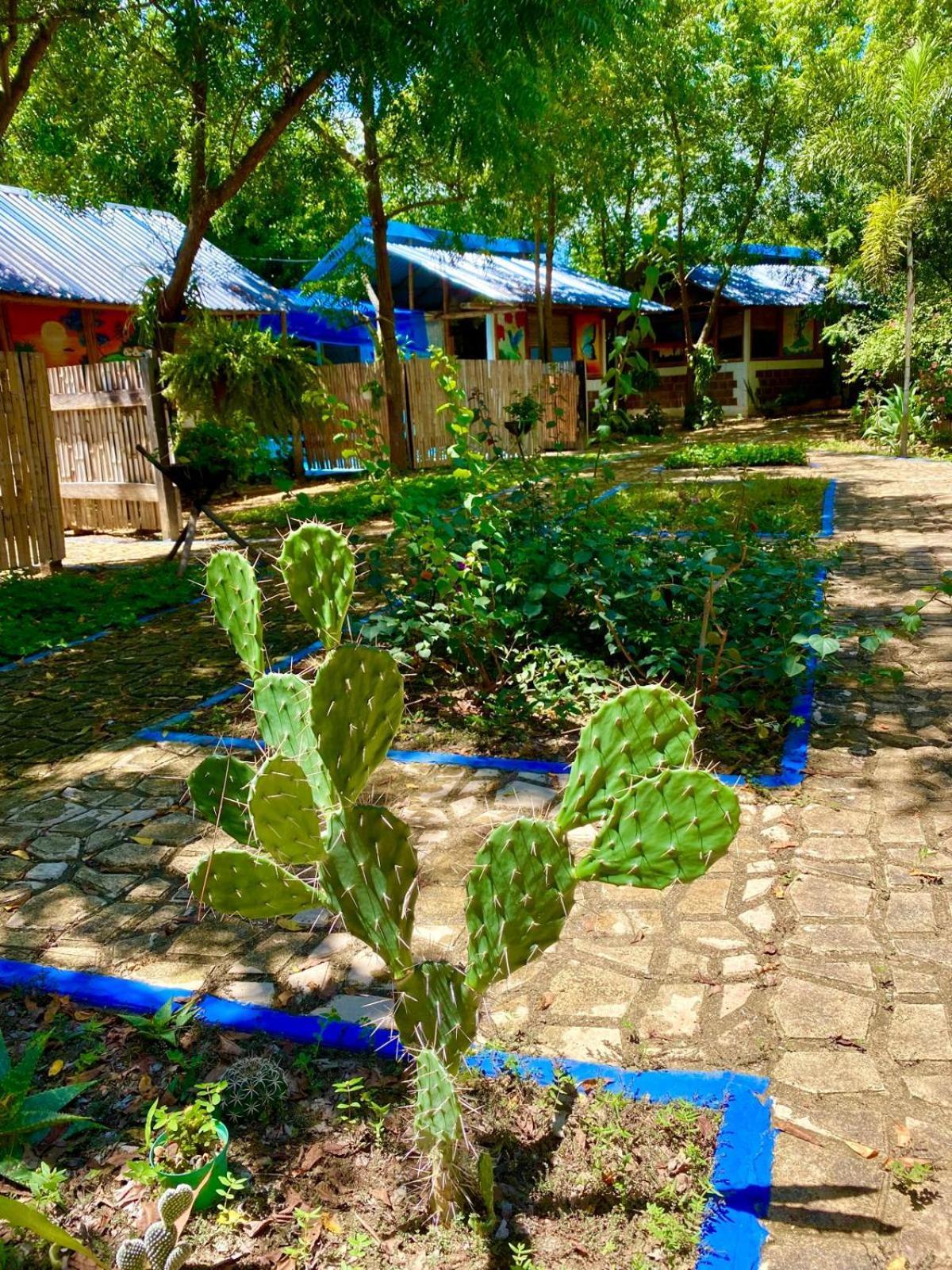 Finca Ecoturistica Los Jagueyes Baraya Екстер'єр фото