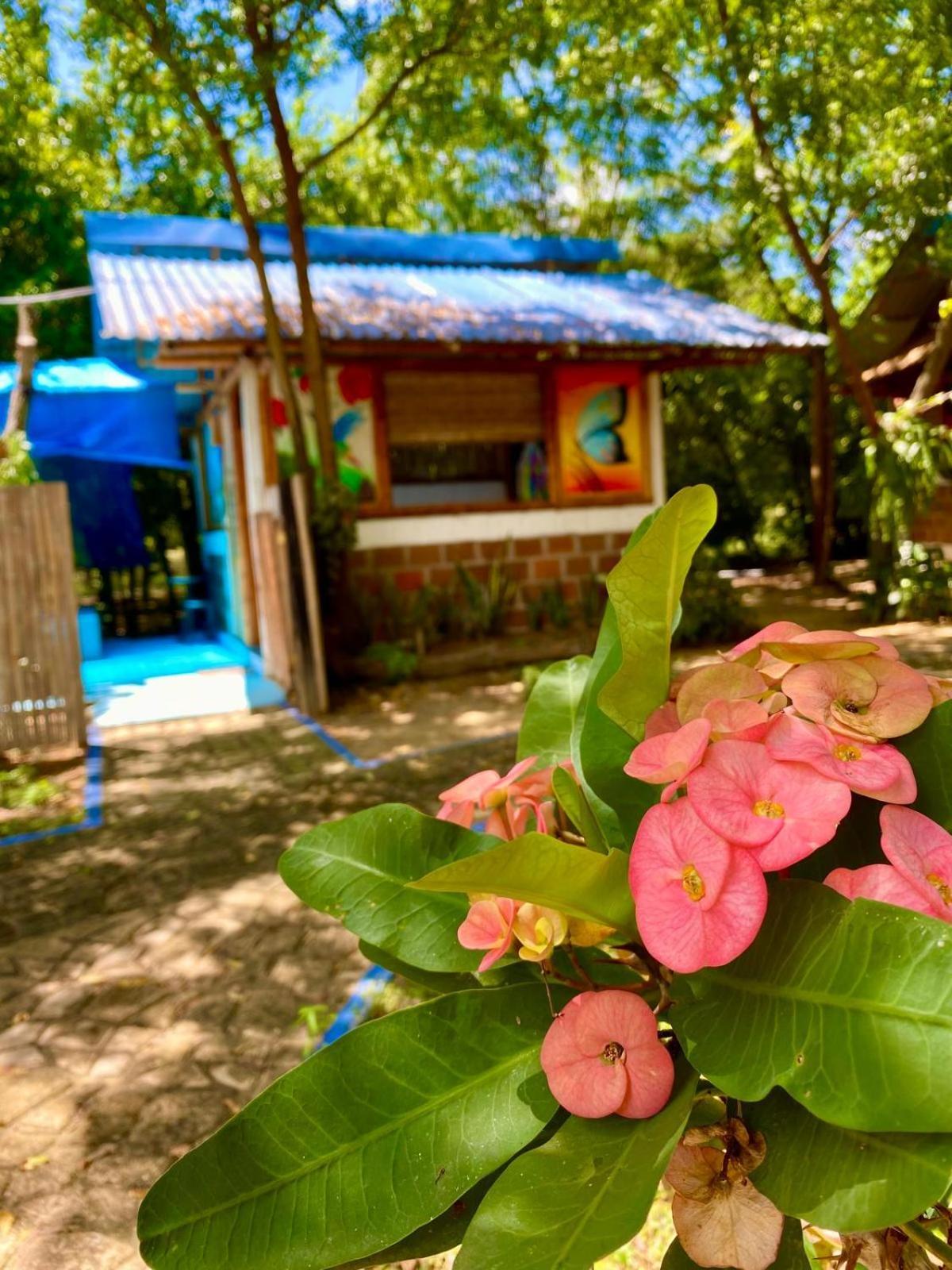 Finca Ecoturistica Los Jagueyes Baraya Екстер'єр фото